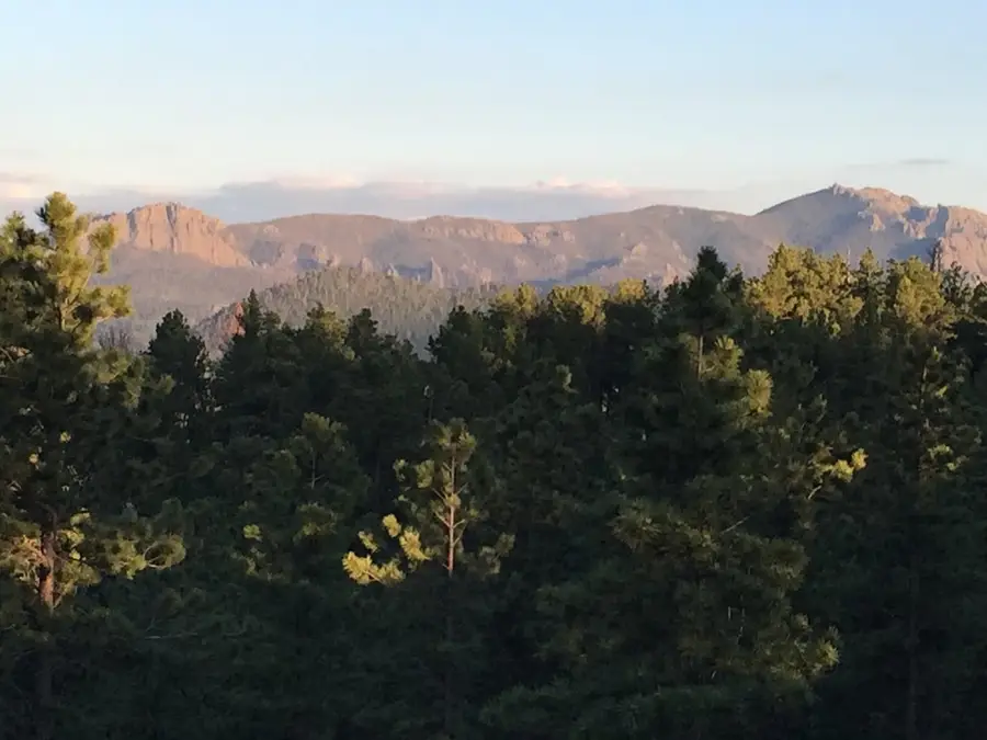 12491 S Tall Pine Road, Hill City, SD 57745 - Image #2