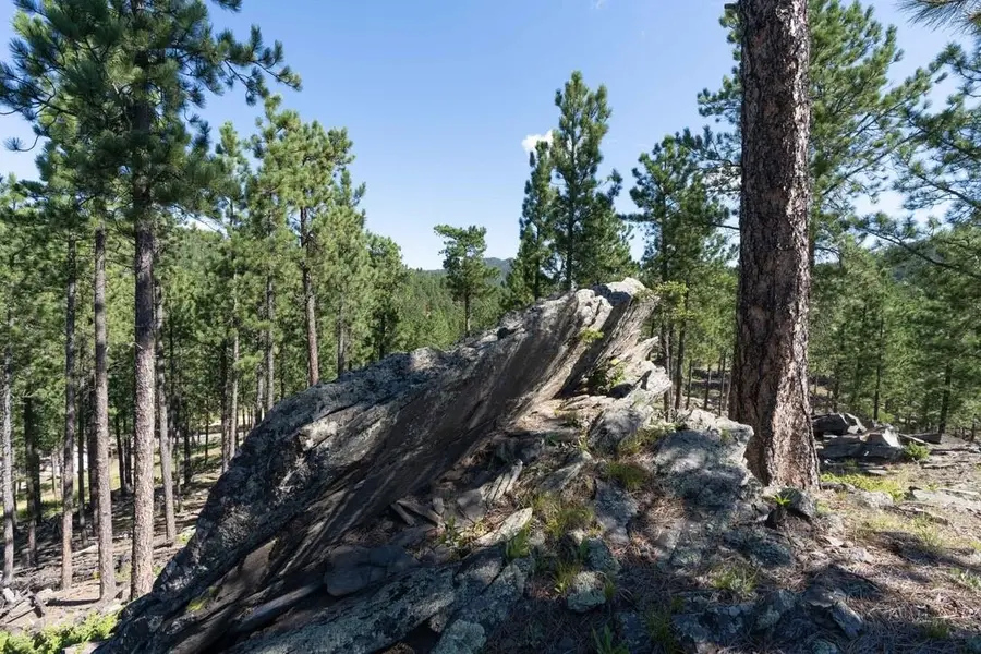 12491 S Tall Pine Road, Hill City, SD 57745 - Image #3