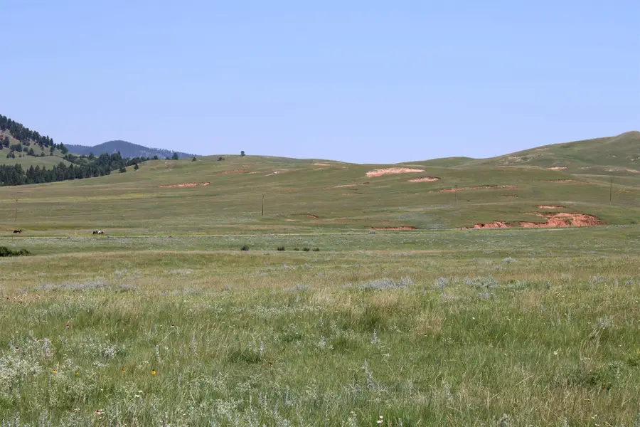 Tract 5 Old Sundance Road, Sundance, WY 82729 - Image #2