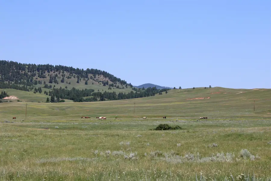 Tract 5 Old Sundance Road, Sundance, WY 82729 - Image #3