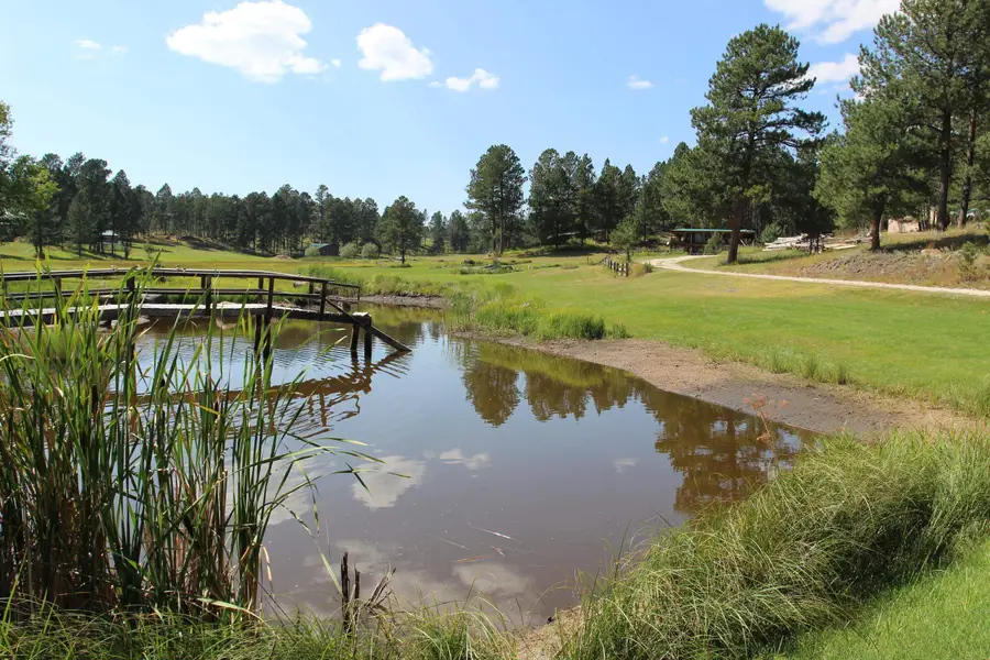 12265 Weaver Drive, Custer, SD 57730 - Image #2