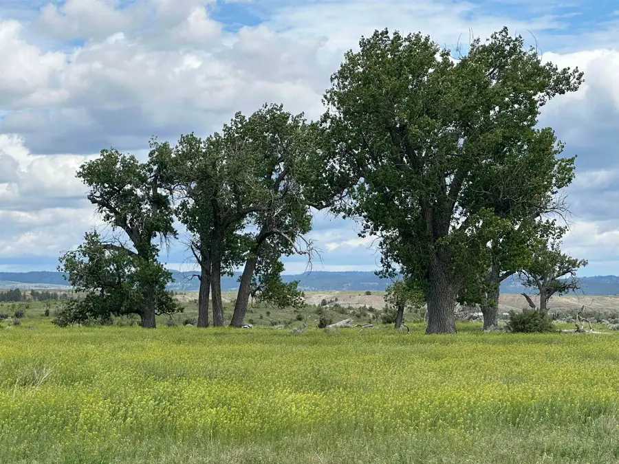 10825 River Road, Edgemont, SD 57735 - Image #3