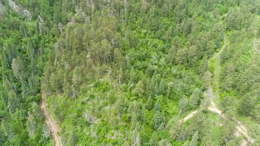 11031 Burno Gulch Road, Spearfish, SD 57783 - #2