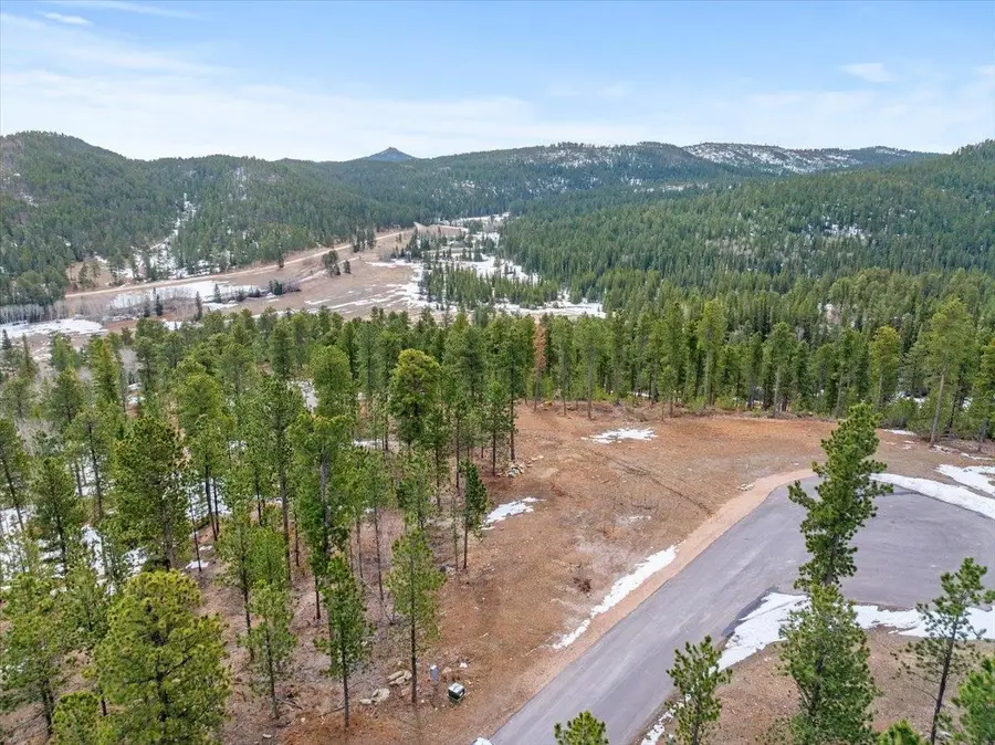 Lot 10 Meadow Wood Way, Lead, SD 57754 - Image #2