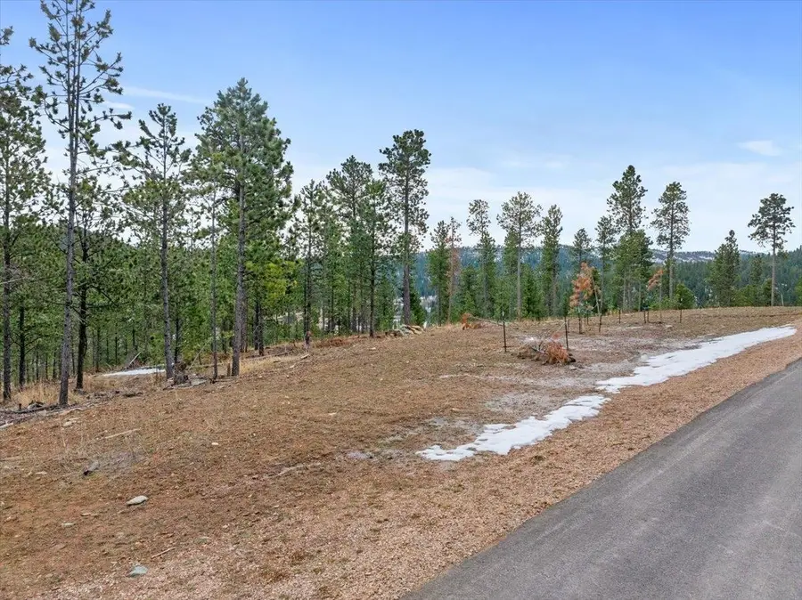 Lot 10 Meadow Wood Way, Lead, SD 57754 - Image #3