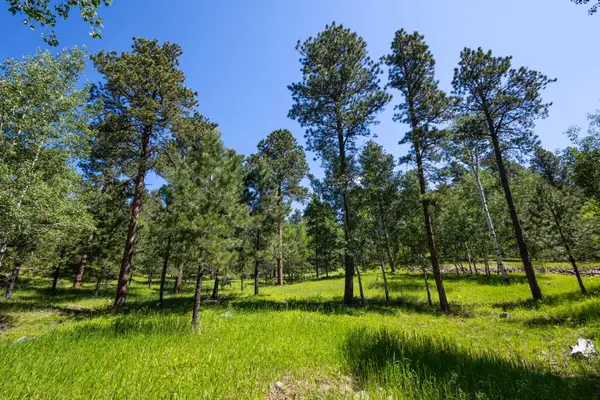 Lot 18 Cuba Street, Deadwood, SD 57732