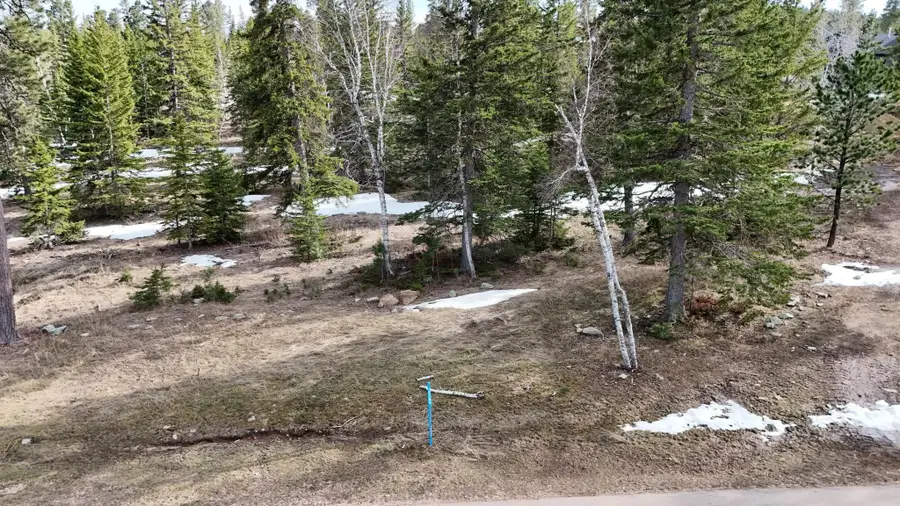 Lot 2 Block 8 Woodland Way, Lead, SD 57754 - Image #2