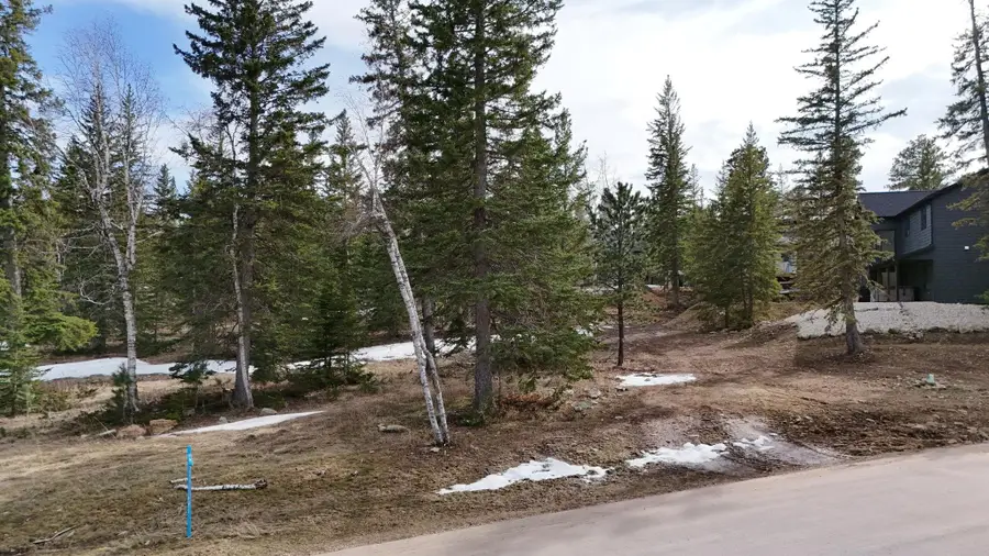 Lot 2 Block 8 Woodland Way, Lead, SD 57754 - Image #3