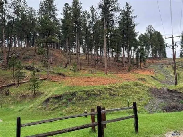 TBD Norris Peak Road, Rapid City, SD 57702 - Image #3