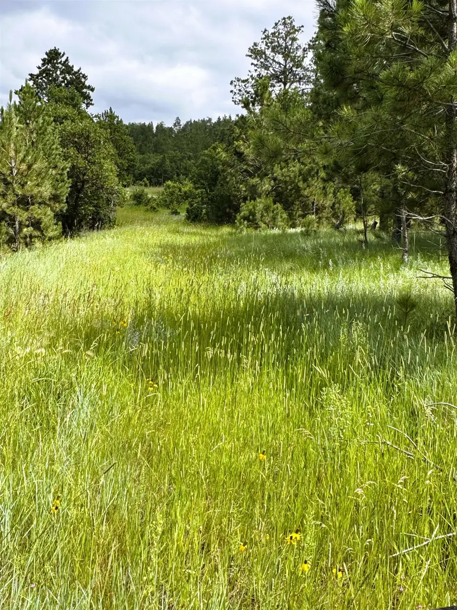 E1 Soaring Eagle Road, Hulett, WY 82720 - Image #2