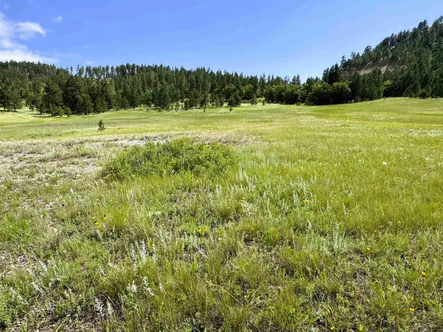 E1 Soaring Eagle Road, Hulett, WY 82720 - Image #3