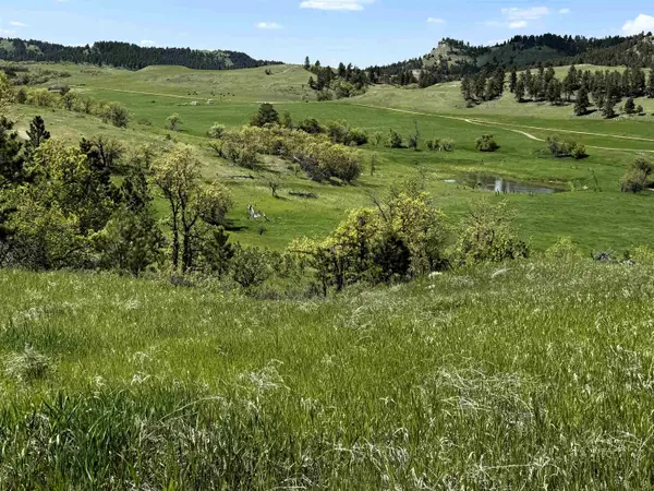 E11 Black Bear Road, Hulett, WY 82720
