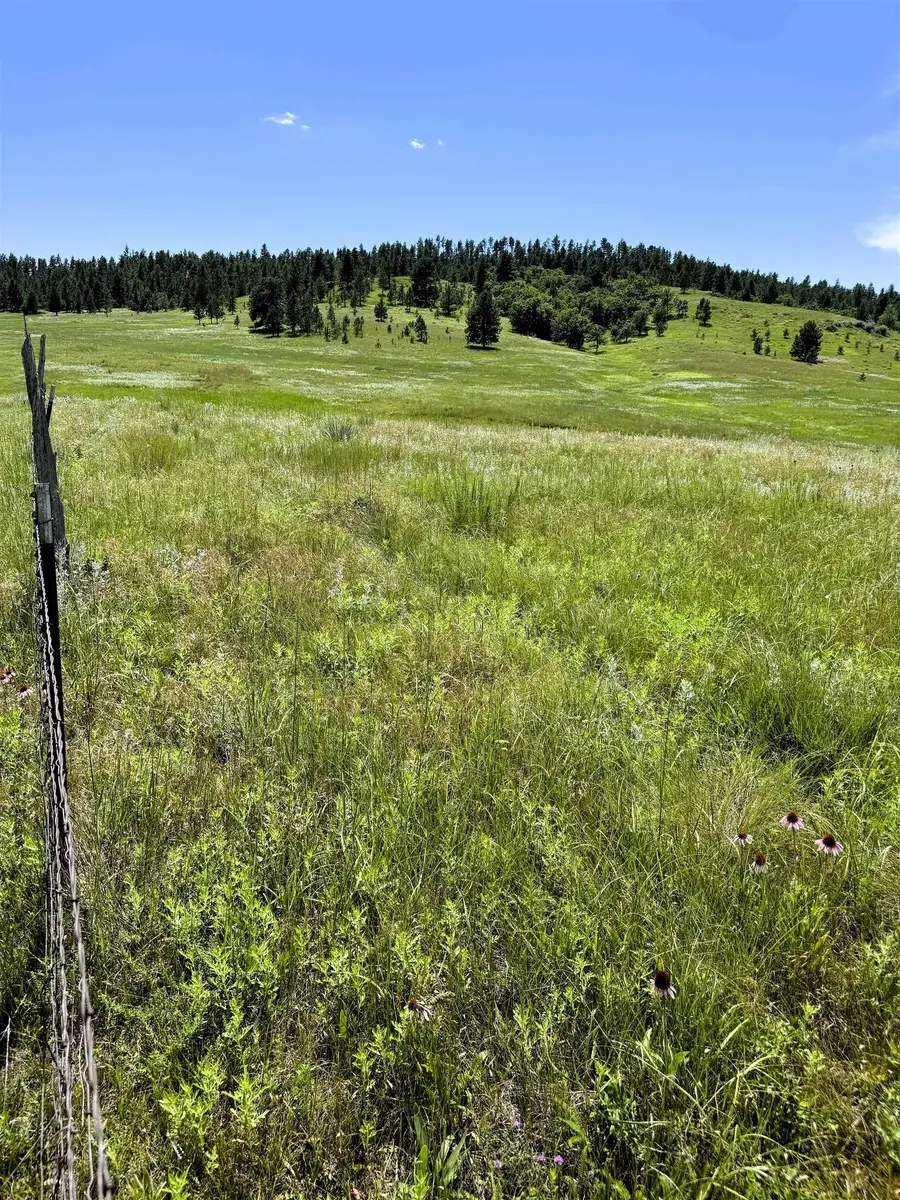 E16 Holmes Road, Hulett, WY 82720 - Image #3