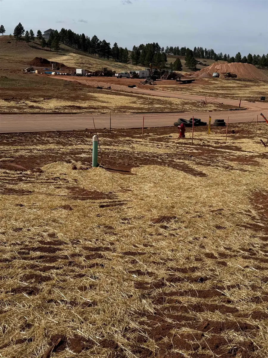 5734 Wind River Road, Rapid City, SD 57702 - Image #3