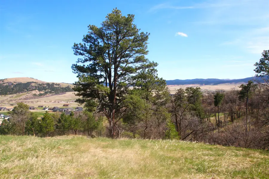 Lot G9R Drake Court, Spearfish, SD 57783 - #3