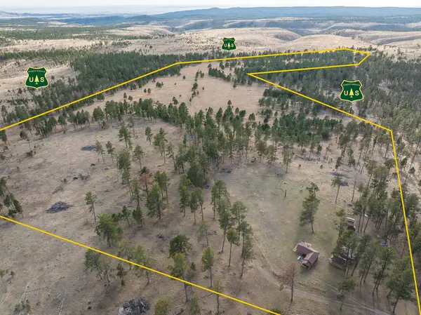 10545 Custer Limestone Road, Custer, SD 57730