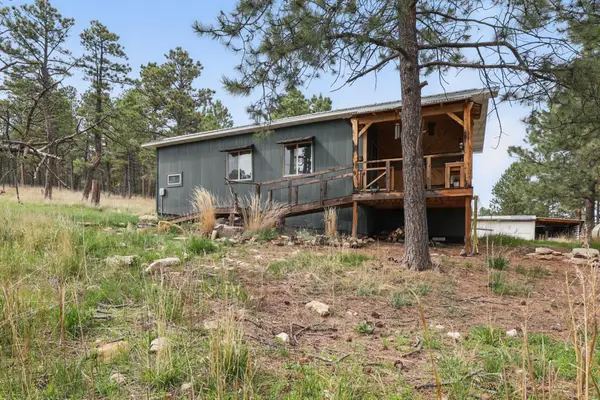 24427 Thovson Road, Keystone, SD 57751