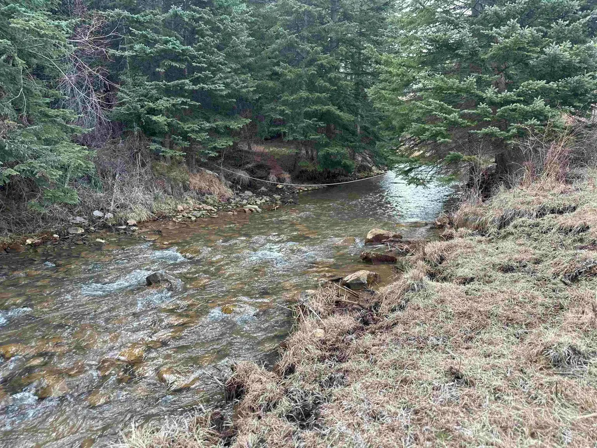 11755 Rochford Road, Hill City, SD 57745 - Image #1