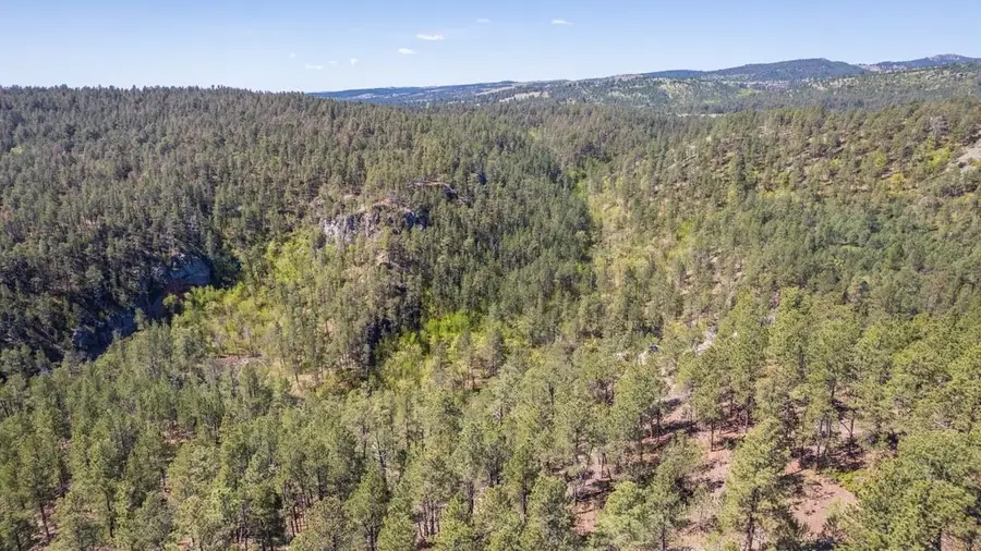 TBD Vip Road, Hermosa, SD 57744 - Image #3