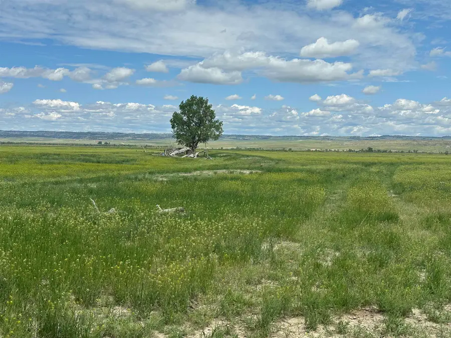 10825 River Road, Edgemont, SD 57735 - Image #3