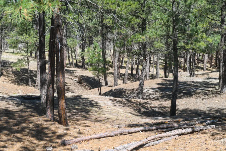 Lot L2, Belle Fourche, SD 57717 - Image #2