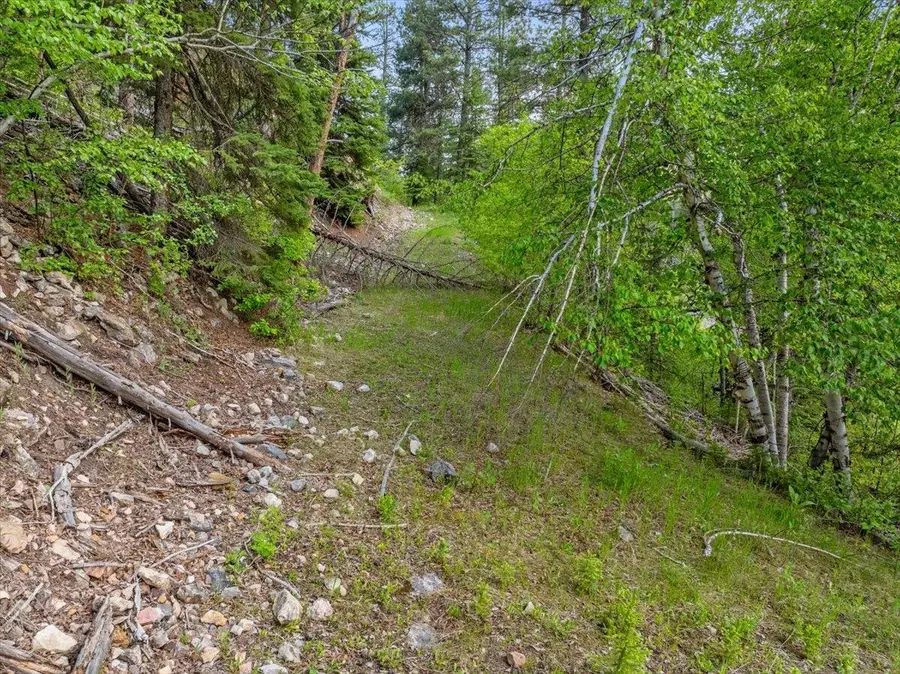 M.S. 1742 Lot 2 Us Hwy 14a, Lead, SD 57754 - Image #2