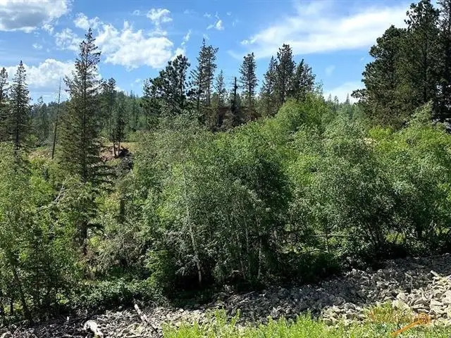 Lot 24 Blue Sky Loop, Lead, SD 57754 - Image #2