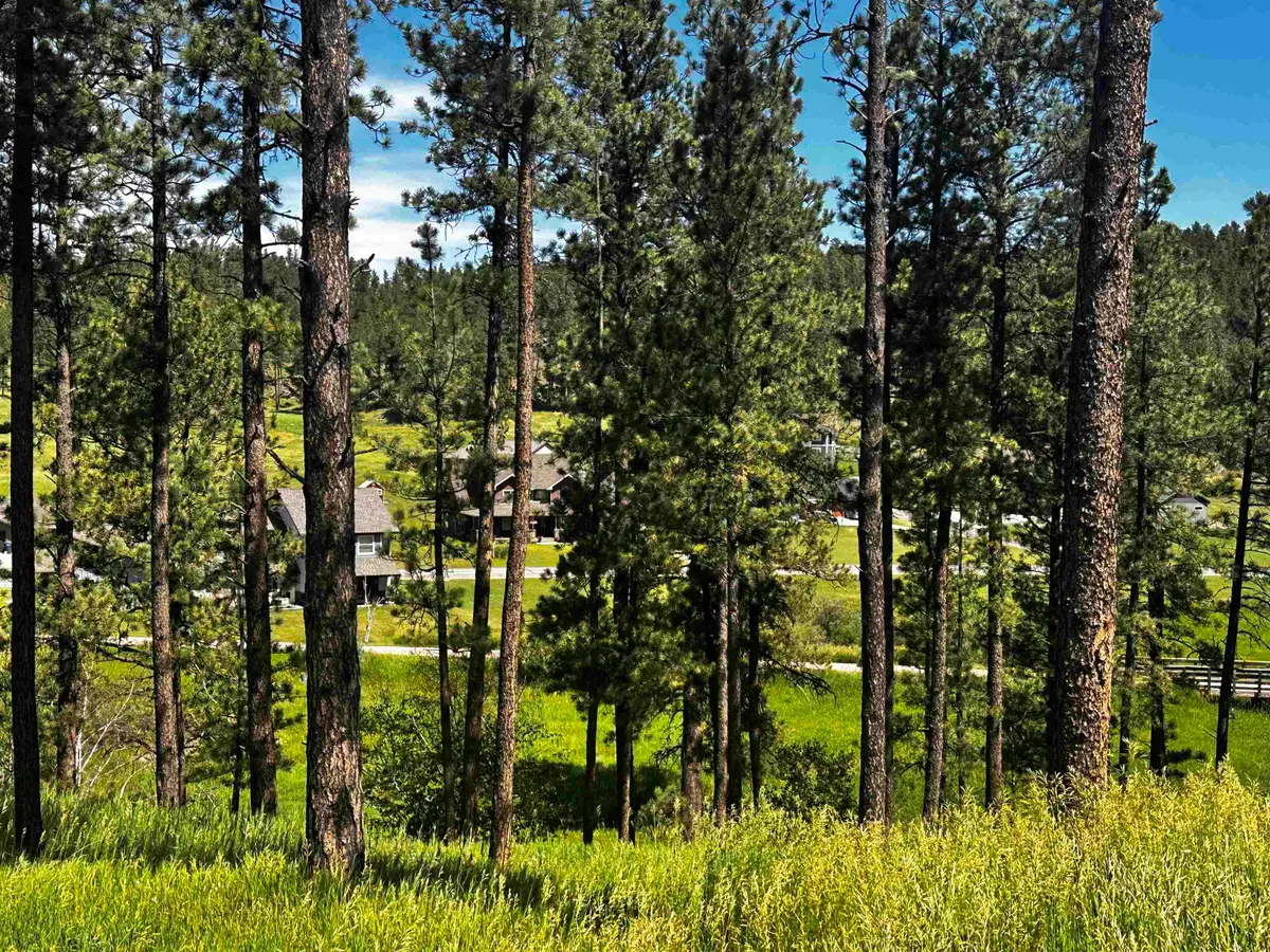 Blk 7 Lot 4, Hill City, SD 57745 - Image #1