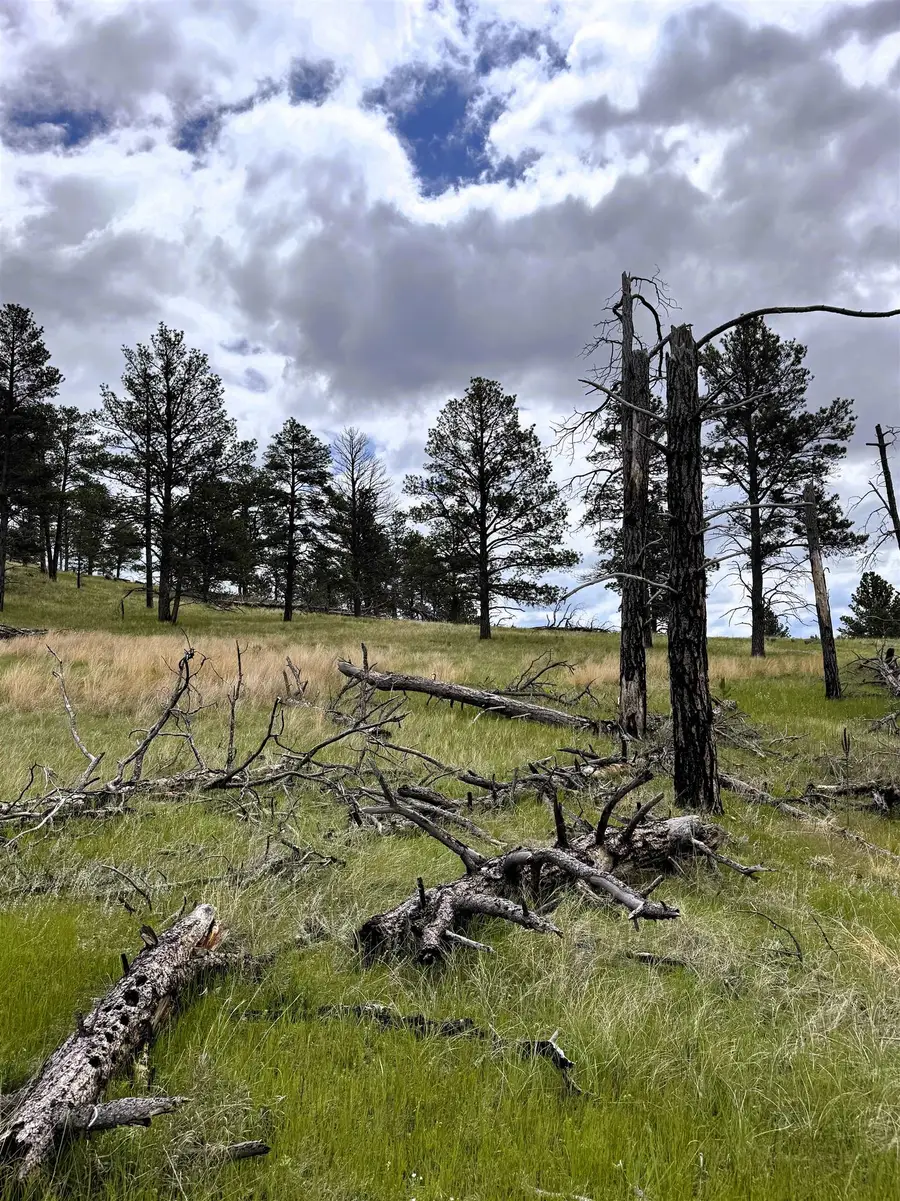 165 Gruenhagen Road, Moorcroft, WY 82721 - Image #2