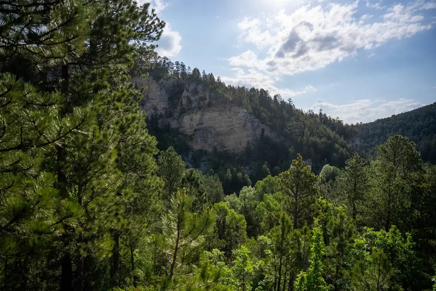 20582 Whitewood Creek Road, Spearfish, SD 57783 - Image #3