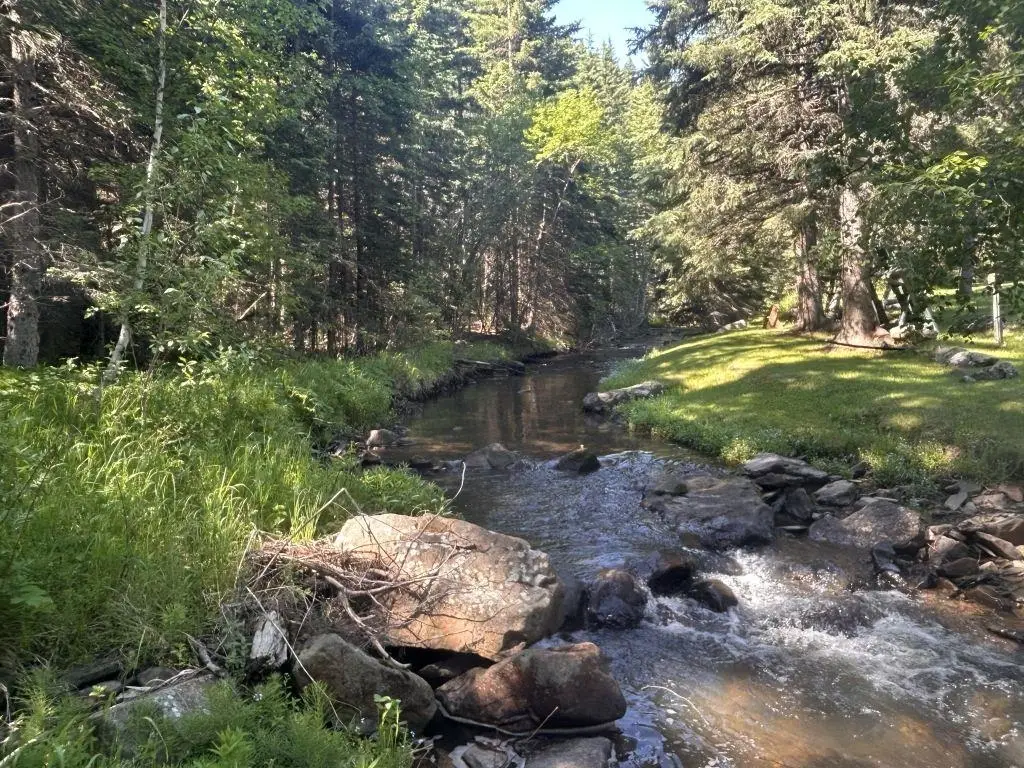 TBD, Deadwood, SD 57732 - Image #1