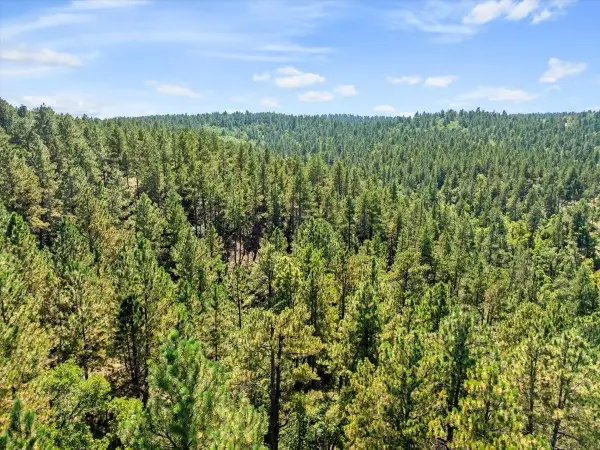 Lot 13 Oak Drive, Whitewood, SD 57793