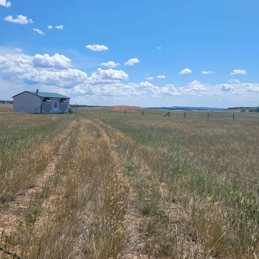 10239 Valley Road, West Custer, SD 57730 - Image #2
