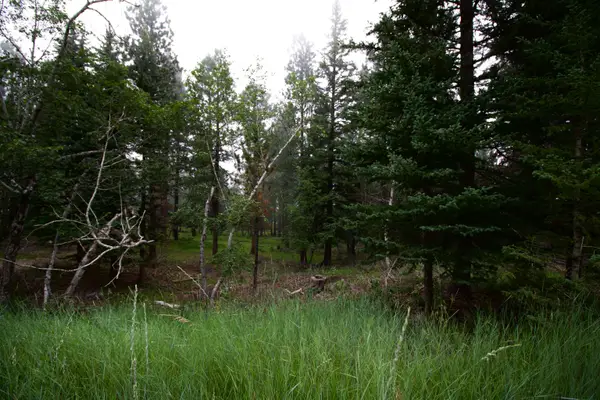 12052 Little Elk Road, Deadwood, SD 57732