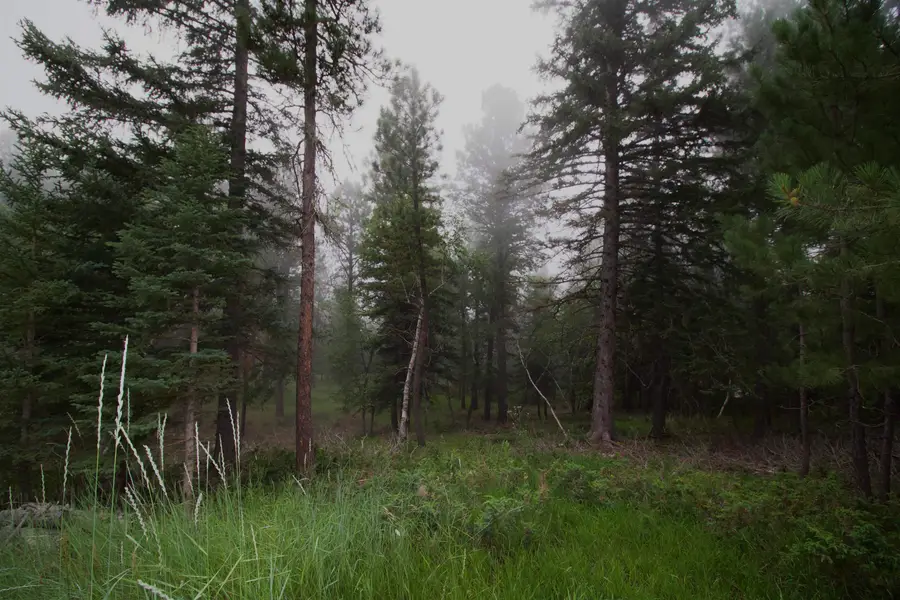 12052 Little Elk Road, Deadwood, SD 57732 - Image #2