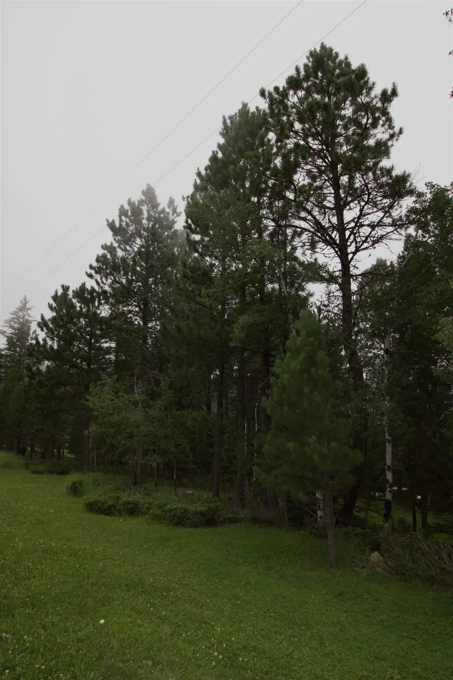 12052 Little Elk Road, Deadwood, SD 57732 - Image #3