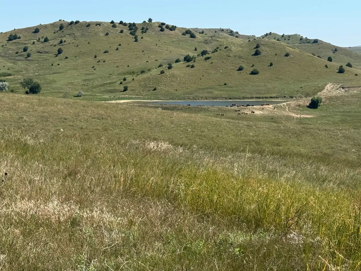 TBD, Gregory, SD 57533 - Image #1