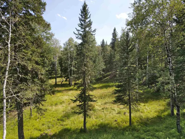 21334 Golden Slope Trail, Deadwood, SD 57732