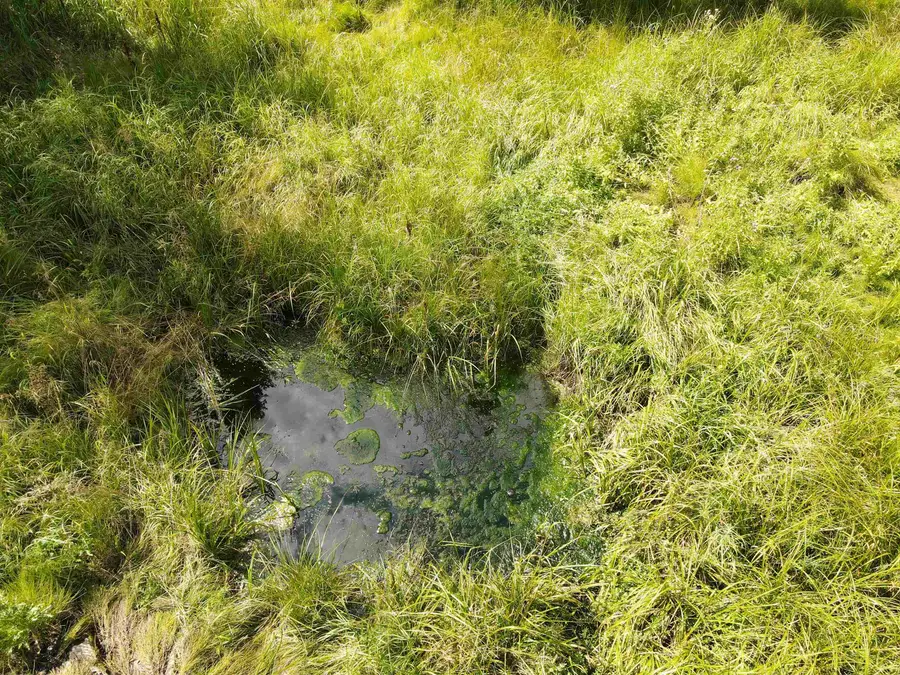 21334 Golden Slope Trail, Deadwood, SD 57732 - Image #2