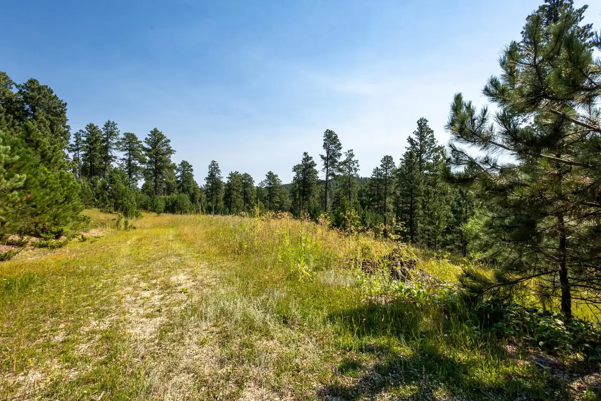 Tract 3 Magpie Road, Lead, SD 57754 - Image #1