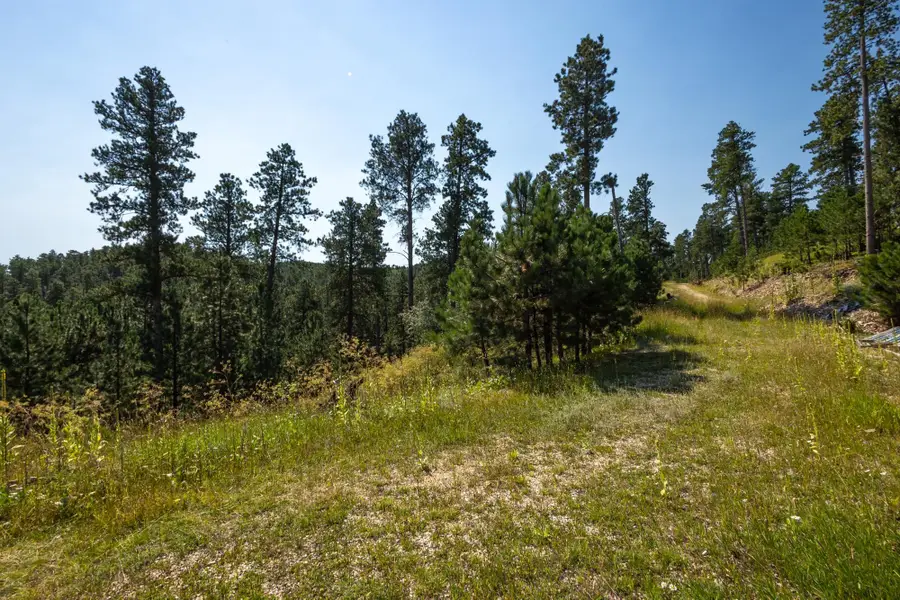 Tract 3 Magpie Road, Lead, SD 57754 - Image #2
