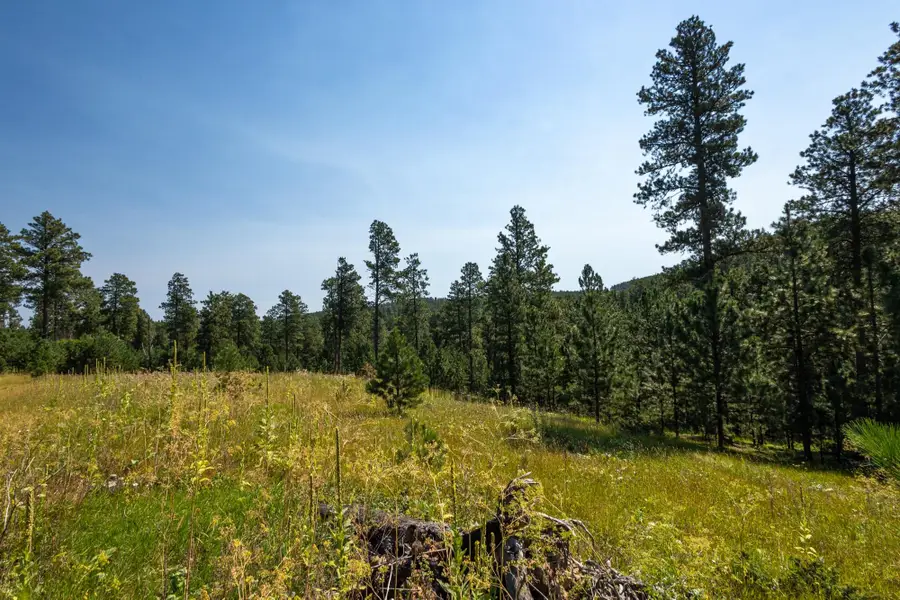 Tract 3 Magpie Road, Lead, SD 57754 - Image #3