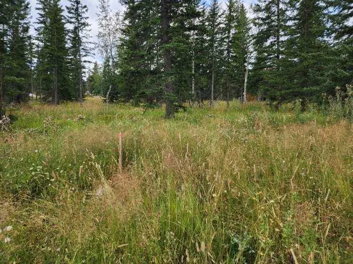 TBD Smokey Stoke Court, Lead, SD 57754 - Image #1