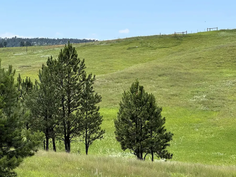 R11 Morning Glory Road, Hulett, WY 82720 - Image #3