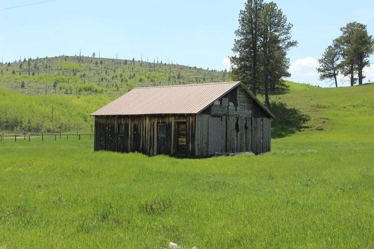 11246 Custer Limestone Road, Custer, SD 57730 - Image #1