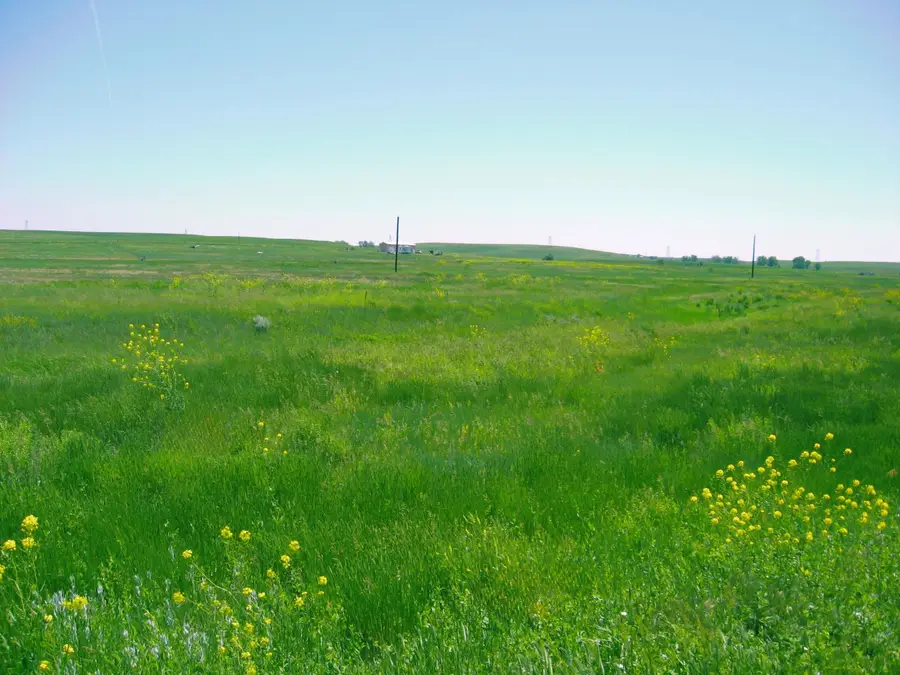 Lot 58 Gobbler Lane, Smithwick, SD 57782 - #2