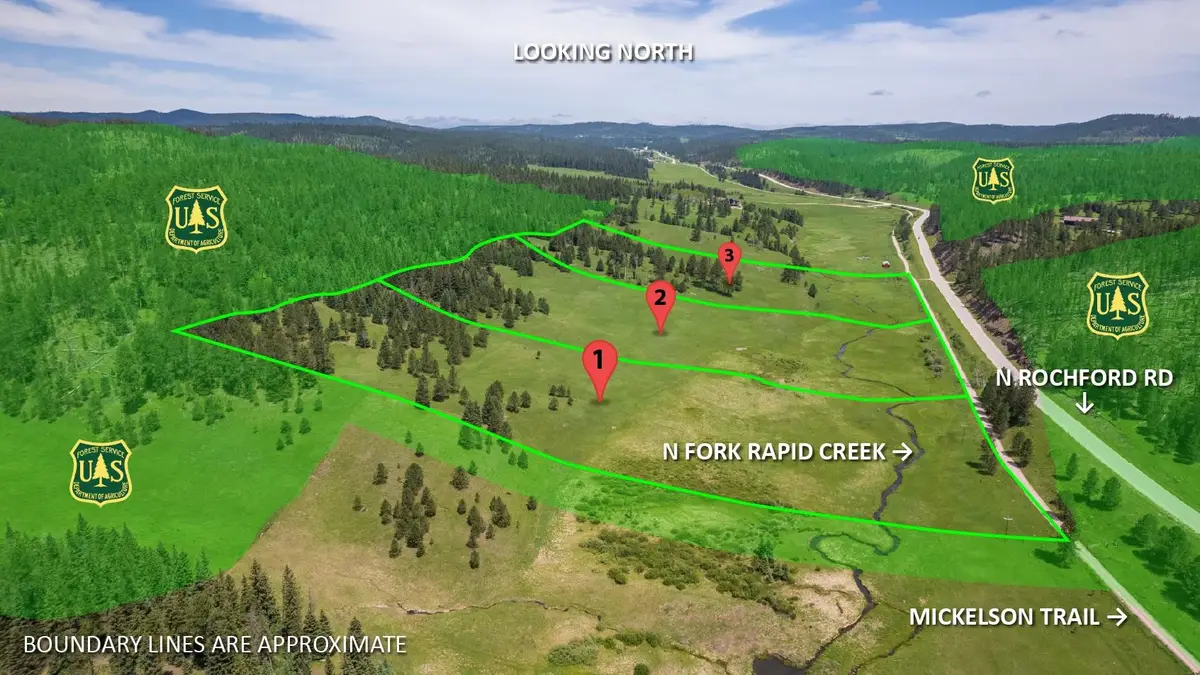 10 acres N Rochford Road, Lead, SD 57754 - #1