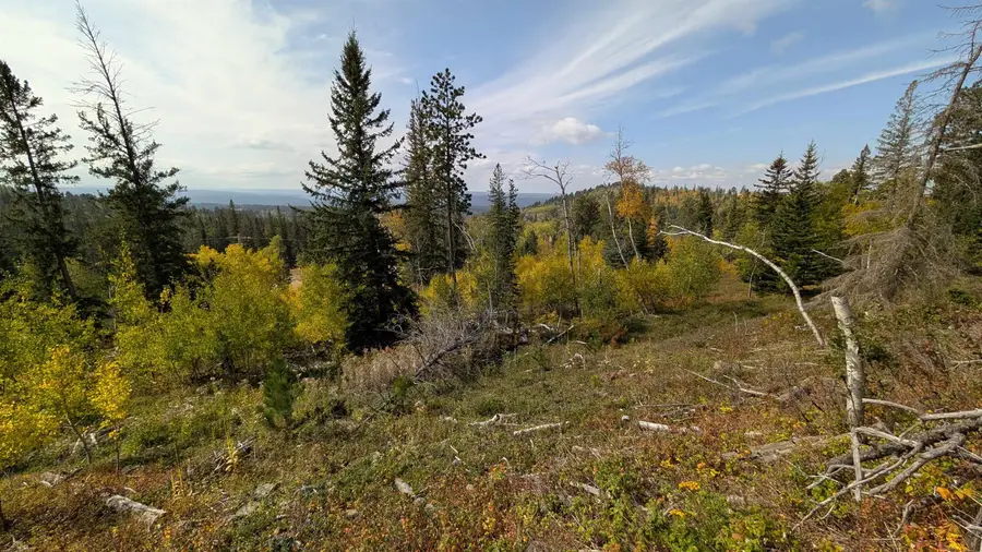 MS 2066 Moose Trail, Lead, SD 57754 - Image #2