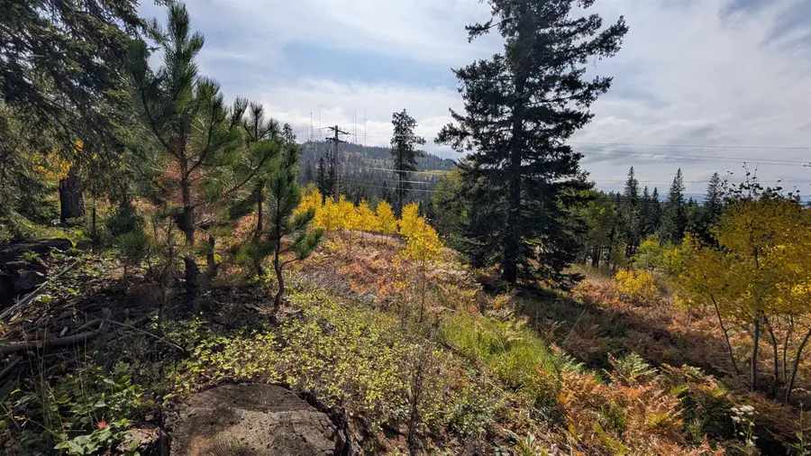 MS 2066 Moose Trail, Lead, SD 57754 - Image #3