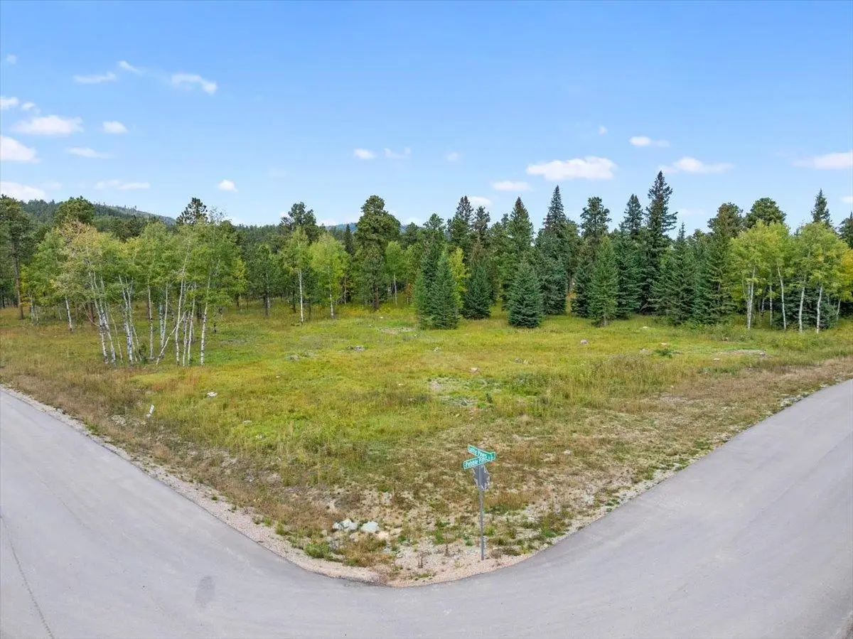 Lot 4 Lofty Pines Road, Lead, SD 57754 - Image #1